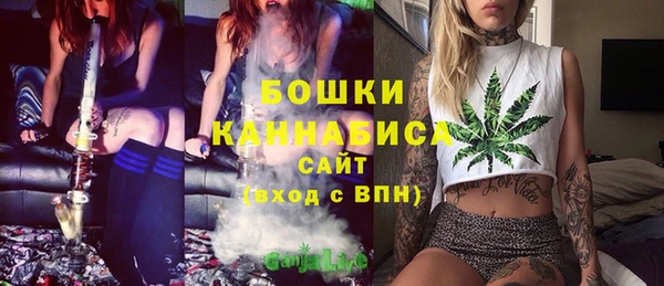 стаф Пестово